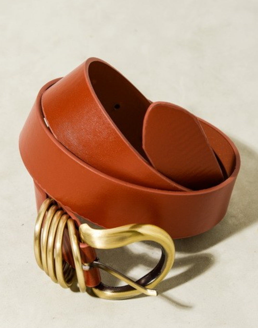 Belt with Gold Buckle