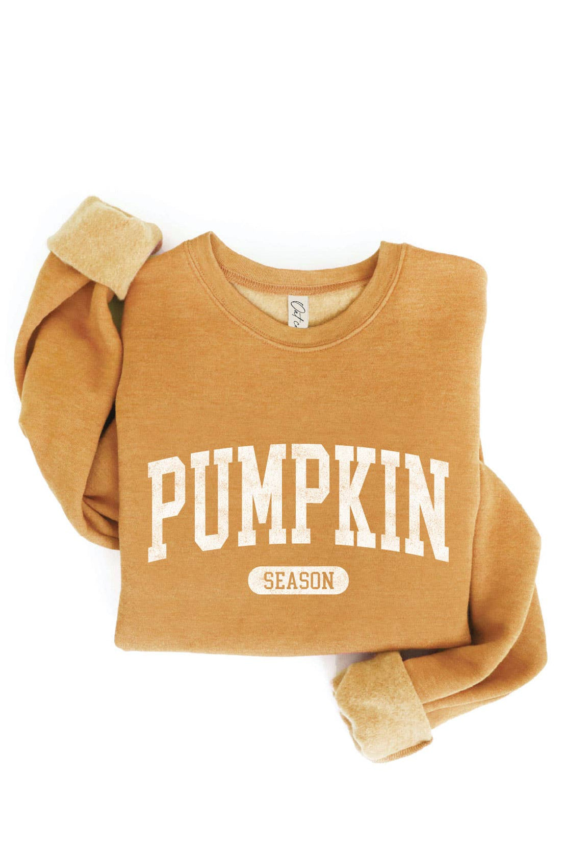 Pumpkin Season Cozy Sweatshirt
