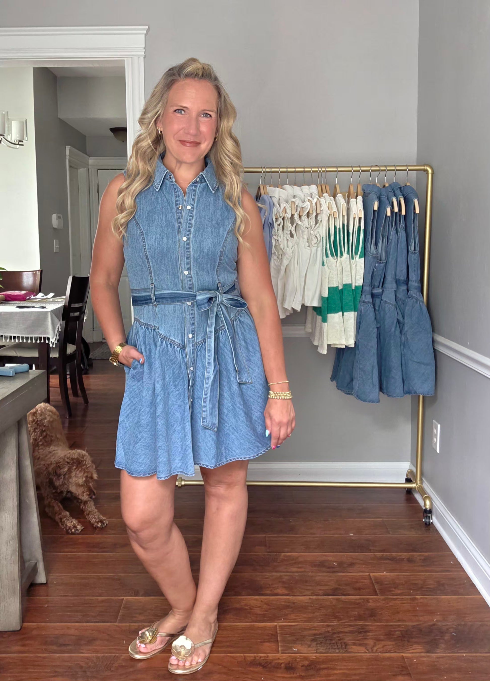 Denim Collared Snap Front Dress